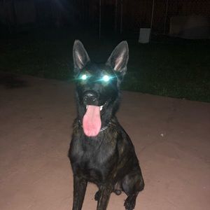 Meet your Posher, Layron